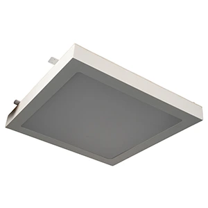 Beelite Rimless Round Downlight